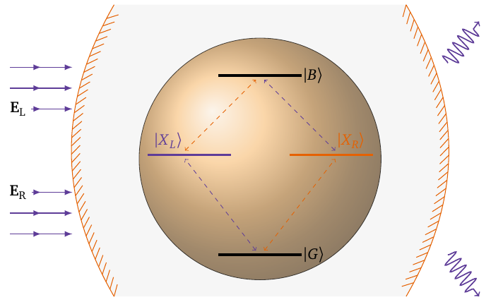 sqd-in-cavity model